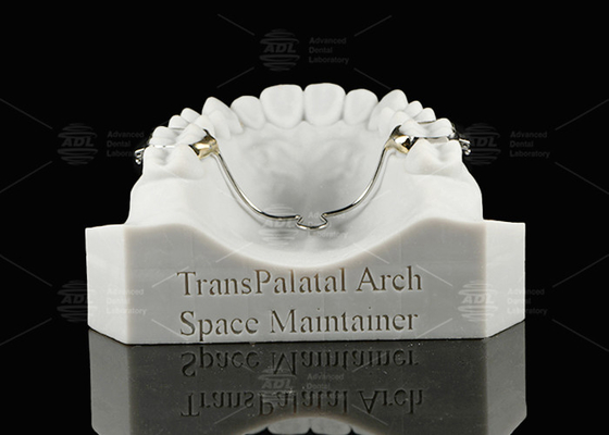 satın al ADL Transpalatal Arch Space Maintainer Çıkarılabilir Space Maintaining Arch Çevrimiçi üretim
