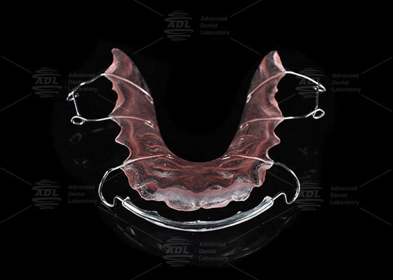 satın al Çin Diş Laboratuvarı Paslanmaz Çelik ve Akrilik Ortodontik Hawley Apareyi Ortodontik Tedavi İçin Çevrimiçi üretim